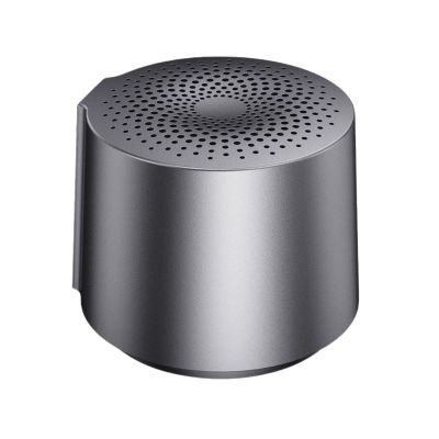 HOAIYO TWS Portable Wireless Speaker with Built in Mic and Play 2 Speakers Together (Gray)