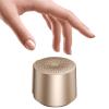 HOAIYO TWS Portable Wireless Speaker with Built in Mic and Play 2 Speakers Together (Gold) view 1