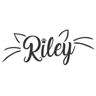 Ohongs Design Studio Cat Custom Name/Wall Sticker/Personalized Wall Decal/Kids Name/Boys Room/kidsroom/Kitty Style/Gift/Made in USA (11" W)