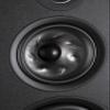Polk Audio Reserve Series R700 Tower Speaker, 1" Tweeter, 6.5" Woofers & Dual 8" Long-Throw Drivers, Hi-Res Certified, Dolby Atmos & IMAX Enhanced for Dynamic Home Theater Audio, Black view 3
