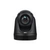 AVer DL30, 2 MP, 1920 x 1080, 60 fps, 1080p, H.264, M-JPEG, YUY2, 12x Zoom, Auto Focus, Compact Camcorder view 1