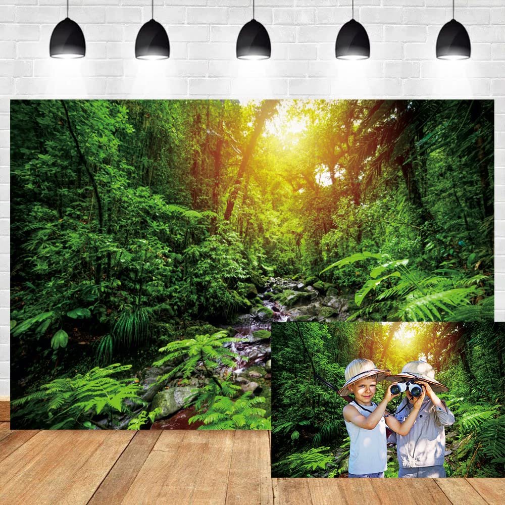 OERJU 12x8ft Peaceful Forest Photography Backdrop Sunny Fresh Green Trees Grass Stones Stream Rustics Natural Landscape Background Outdoor Travel Adventure Theme Banner Decor Vinyl Studio Props