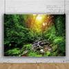 OERJU 12x8ft Peaceful Forest Photography Backdrop Sunny Fresh Green Trees Grass Stones Stream Rustics Natural Landscape Background Outdoor Travel Adventure Theme Banner Decor Vinyl Studio Props view 3