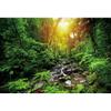 OERJU 12x8ft Peaceful Forest Photography Backdrop Sunny Fresh Green Trees Grass Stones Stream Rustics Natural Landscape Background Outdoor Travel Adventure Theme Banner Decor Vinyl Studio Props view 4