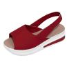 ZBYY Women's Platform Sandals Comfort Wedge Sandals Summer Sexy Sandals Ankle Strap Flat Slip On Wedges Shoes view 2