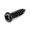 100PCS M2.38 PA Phillips Head Micro Laptop Screws Pan Head 8MM Self-Tapping Electronic Small Wood Screws view 2
