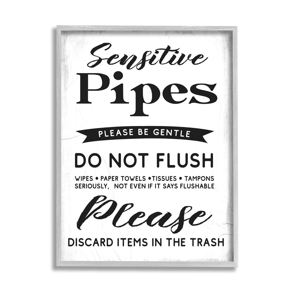Stupell Industries Sensitive Toilet Pipes Sign Flushing Restrictions