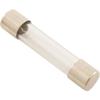AquaCal AutoPilot 15626 6A AutoPilot Chlorinator Fuse view 1