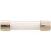 AquaCal AutoPilot 15626 6A AutoPilot Chlorinator Fuse view 2