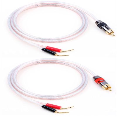 JORZOR 2 Pack Pin Type Plug to RCA Male Plug 14 AWG Speaker CableAudiophile 14 AWG OFC Speaker Wire (1M(3.3ft), 2 pin to RCA Male)