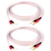 JORZOR 2 Pack Pin Type Plug to Banana Male Plug Speaker CableAudiophile 14 AWG OFC Speaker Wire (3M(10FT), 2 pin to 2 Banana Plug) view 1