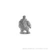 D&D Nolzur's Marvelous Miniatures: Hill Giant view 4