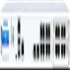 Sophos XGS 2300 Web Protection - 12 Months (XB2C1CSAA) view 2