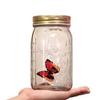Butterfly in a Glass Jar, Hsxxf LED Lamp Jar Animated Butterfly in A Jar Tap to Activate Gift Decoration (Red) view 3
