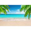 Leowefowa 3.5x2.5m Vinyl Summer Beach Backdrop Tropical Palm Beach Blue Sky Vacation Photo Background for Hawaii Birthday Wedding Party Photo Booth Shoots Studio Props Photography Backdrops view 1