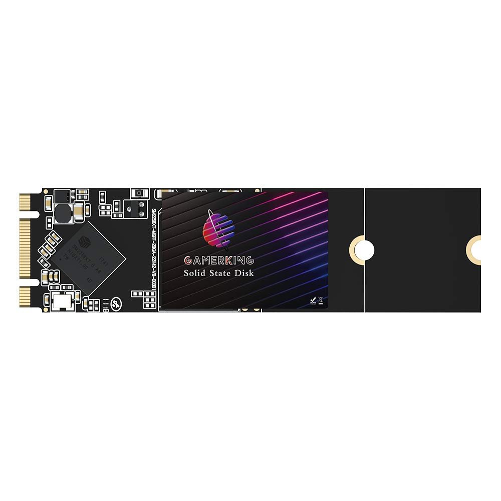 Gamerking SSD M.2 2280 64GB NGFF Internal Solid State Drive High Performance Hard Drive for Desktop Laptop SATA III 6Gb/s M2 SSD(64GB, M.2 2280)