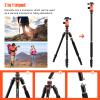 [Upgrade Version] GEEKOTO 77'' Aluminum Camera Stand & Monopod, Foldable Travel Gear with 360 Ball Head and Quick Release Plate for DSLR, Work, and Content Creation view 4