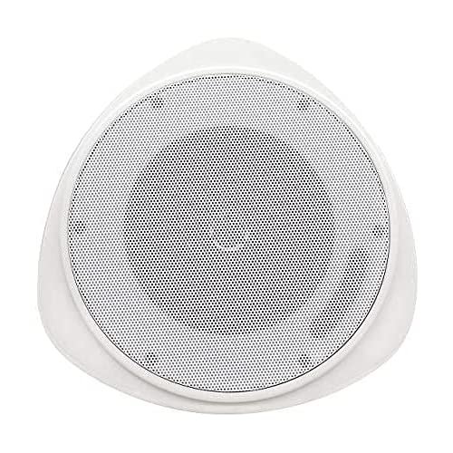 30 Watt RMS 5.25" Pendant Speaker with H