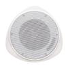 30 Watt RMS 5.25" Pendant Speaker with H view 1