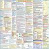 FAA Private Pilot Oral Exam Study Guide Poster (2-Sided, 27x19 In) view 3