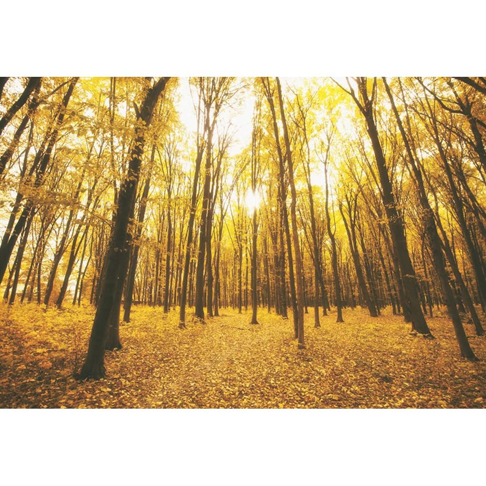 OERJU 9x6ft Autumn Gold Maple Forest Photography Backdrop Rural Natural Scenery Lush Trees Fallen Leaves Background Harvest Party Decor Kids Adults Photoshoot Photo Booth Vinyl Studio Props