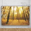 OERJU 9x6ft Autumn Gold Maple Forest Photography Backdrop Rural Natural Scenery Lush Trees Fallen Leaves Background Harvest Party Decor Kids Adults Photoshoot Photo Booth Vinyl Studio Props view 3