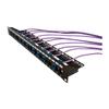 Vertical Cable 24 Port Blank Patch Panel - 1U view 3