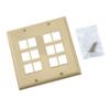 12-Port Double-Gang Wall Plate (Ivory) view 4