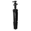 Benro MeFOTO Globetrotter Travel Tripod, Ballhead and Monopod in Black, 2 Series Carbon Fiber Legs, 4 Leg Sections, Twist Leg Locks, Padded Carrying Case (BMGTCBLK) view 3