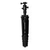 Benro MeFOTO Globetrotter Travel Tripod, Ballhead and Monopod in Black, 2 Series Aluminum Legs, 4 Leg Sections, Twist Leg Locks, Padded Carrying Case (BMGTABLK) view 3