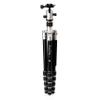 Benro MeFOTO Roadtrip Travel Tripod, Ballhead and Monopod in Titanium, 1 Series Aluminum Legs, 4 Leg Sections, Twist Leg Locks, Padded Carrying Case (BMRTATTN) view 3