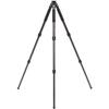 Benro Induro Classic Carbon Fiber Tripod, 3 Series Legs, 3 Leg Sections, Twist Leg Locks, Padded Carrying Case (BICLT303) view 2