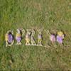 A&C Quinceaeras and More Wooden Letters 10 inch Wooden Numbers (Silver, G) view 2