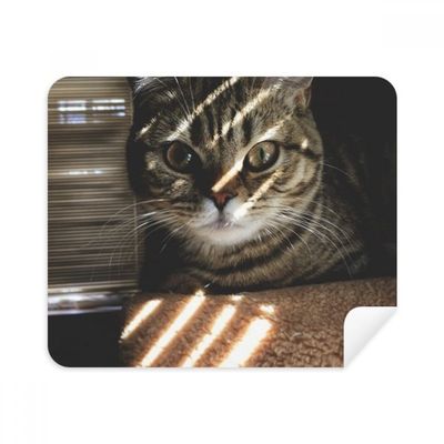 Animal Cat Ray Photograph Shoot Cleaning Cloth Screen Cleaner 2pcs Suede Fabric