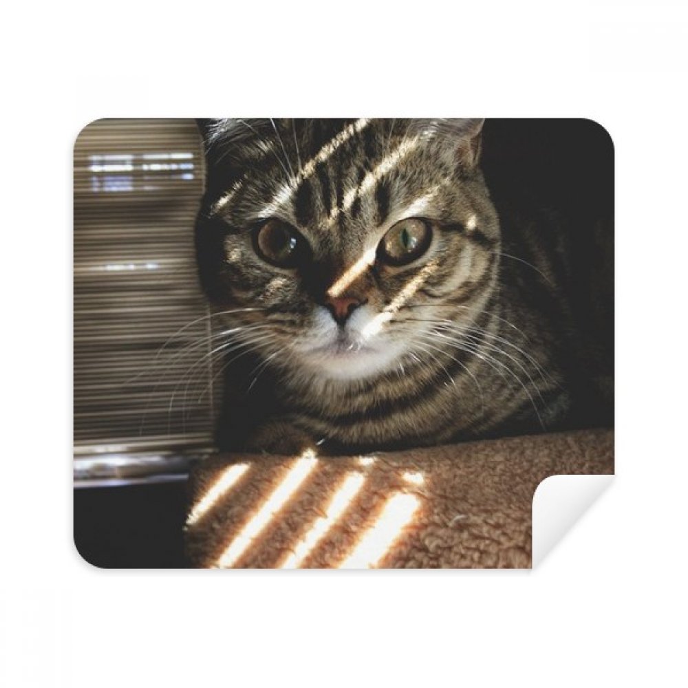 Animal Cat Ray Photograph Shoot Cleaning Cloth Screen Cleaner 2pcs Suede Fabric