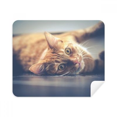 Animal Yellow Cat Photograph Picture Cleaning Cloth Screen Cleaner 2pcs Suede Fabric
