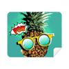 American COC Style Pineapple Fruit Cleaning Cloth Screen Cleaner 2pcs Suede Fabric view 1