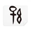 Bone Inscription Chinese Surname Character Sun Cleaning Cloth Screen Cleaner 2pcs Suede Fabric view 1