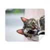 Animal Activity Cat Photograph Picture Cleaning Cloth Screen Cleaner 2pcs Suede Fabric view 1