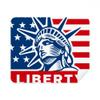 America Flag with Liberty Statue Pattern Cleaning Cloth Screen Cleaner 2pcs Suede Fabric view 1