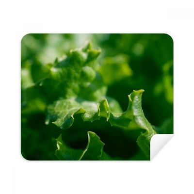 Tender Nature Photography Cleaning Cloth Screen Cleaner 2pcs Suede Fabric