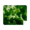 Tender Nature Photography Cleaning Cloth Screen Cleaner 2pcs Suede Fabric view 1