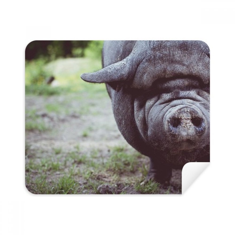 Terrestrial Organism Animal Photography Cleaning Cloth Screen Cleaner 2pcs Suede Fabric