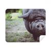 Terrestrial Organism Animal Photography Cleaning Cloth Screen Cleaner 2pcs Suede Fabric view 1