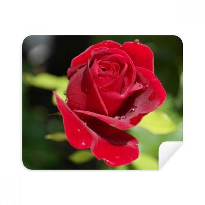 Dark Red Roses Flowers Cleaning Cloth Screen Cleaner 2pcs Suede Fabric
