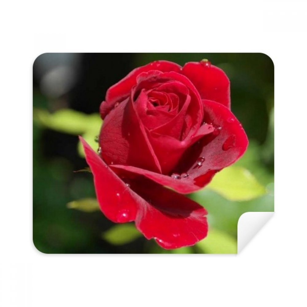 Dark Red Roses Flowers Cleaning Cloth Screen Cleaner 2pcs Suede Fabric