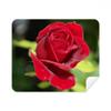 Dark Red Roses Flowers Cleaning Cloth Screen Cleaner 2pcs Suede Fabric view 1