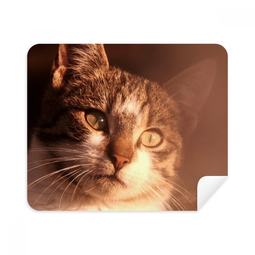 Animal Sentimental Cat Simpol Shoot Cleaning Cloth Screen Cleaner 2pcs Suede Fabric
