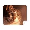 Animal Sentimental Cat Simpol Shoot Cleaning Cloth Screen Cleaner 2pcs Suede Fabric view 1