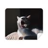 Animal Yawn Cat Photograph Shoot Cleaning Cloth Screen Cleaner 2pcs Suede Fabric view 1